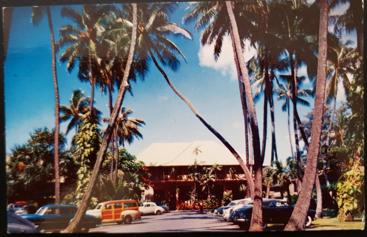 (image for) postcard USA - HI - Hawaii #0008
